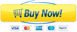 Buy It Now Example Web Design