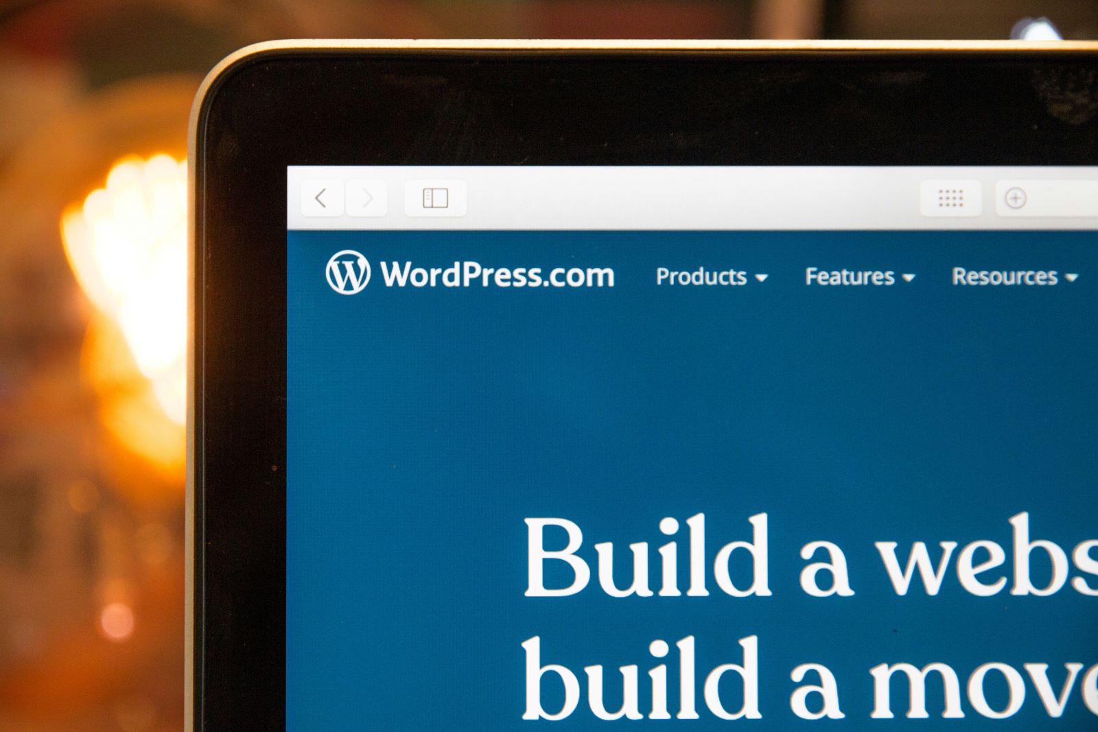 Charlotte wordpress developer